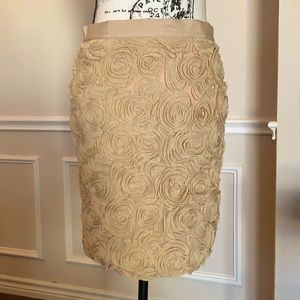 🤩 Banana Republic Skirt